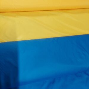 Плащова Жовта
